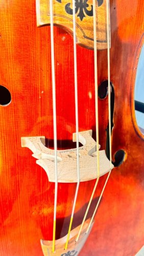 Mistrovské barokní violoncello model King