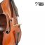 Mistrovský kontrabas 3/4 model Amati