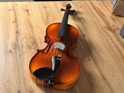 Student celomasivní viola