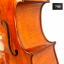 Mistrovské Violoncello 4/4 model MONTAGNANA - Velikost: 1/2 Celomasivní