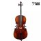 Student celomasivní violoncello