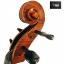 Mistrovské Violoncello 4/4 model AMATI