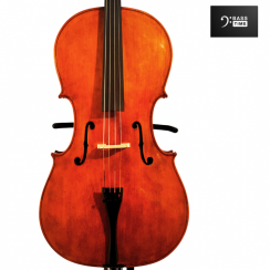 Mistrovské Violoncello 4/4 model AMATI