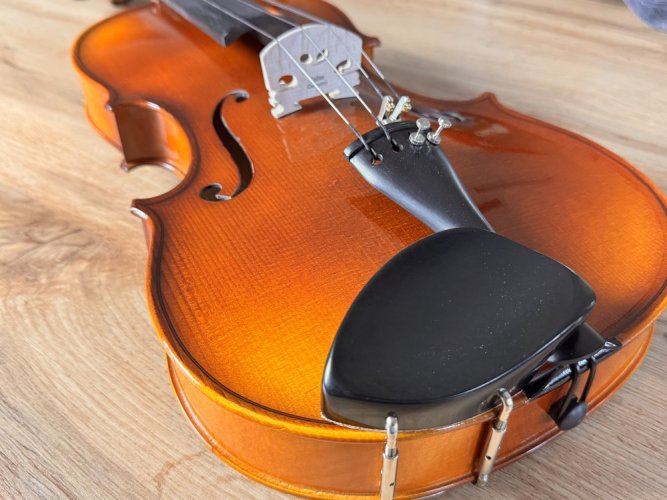 Student celomasivní viola