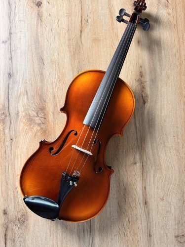 Student celomasivní viola