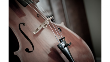 Violoncella - Skladem