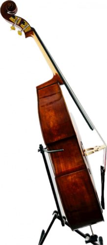 Mistrovský kontrabas 3/4 model Mirecourt